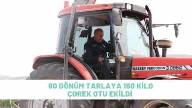 Photo of 80 Dönüm Tarlaya 160 Kilogram Çörek Otu Ekildi
