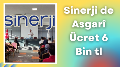 Photo of Sinerji de Asgarî Ücret 6 Bin Tl