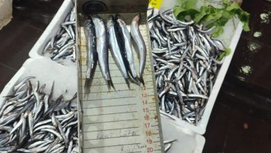 Photo of Su Ürünleri Denetlendi