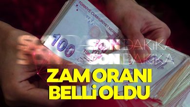 Photo of Emekliye zam oranı belirlendi